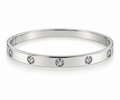 Stainless Steel Bezel CZ Station Bangle - Silver